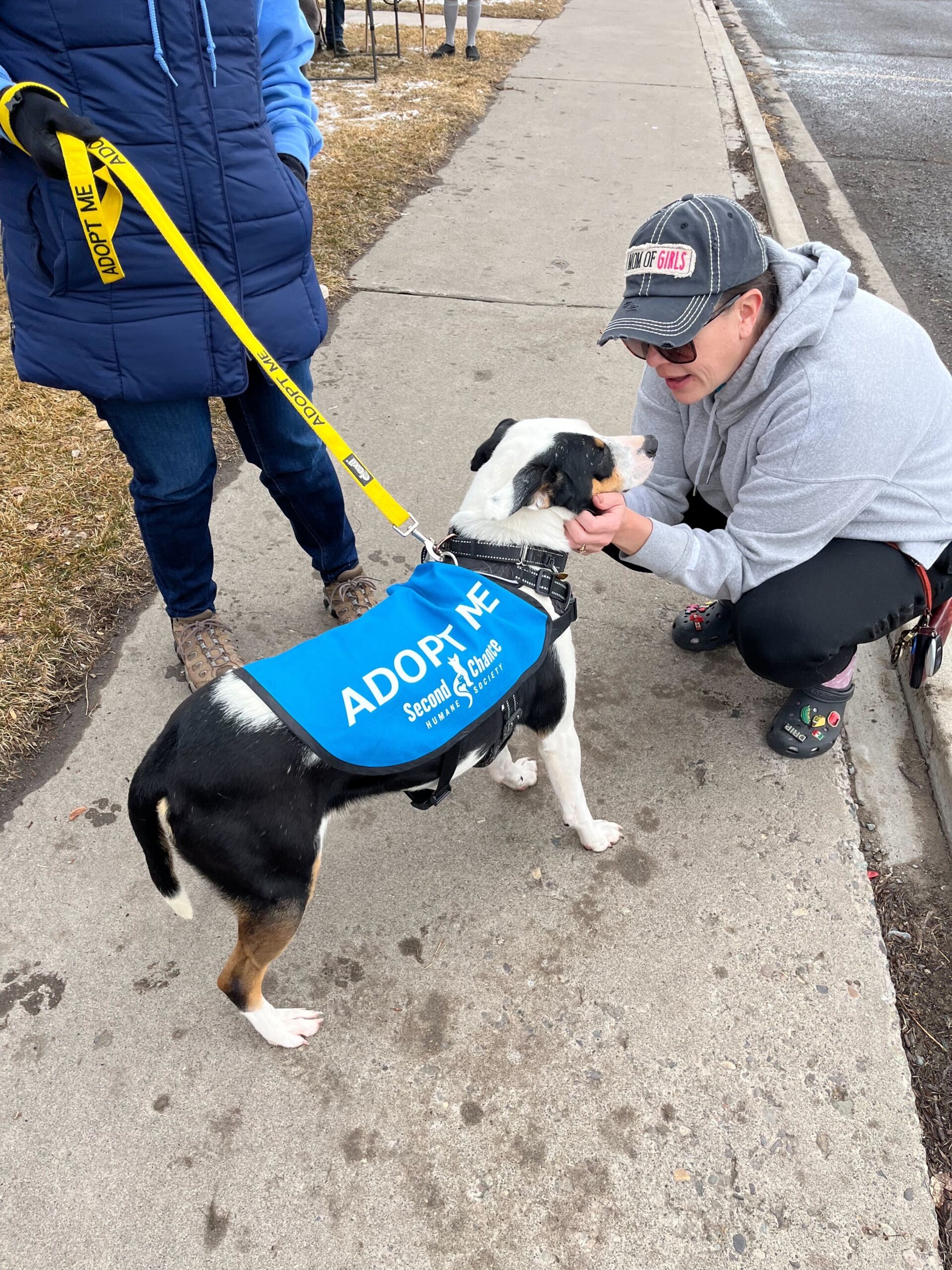 Adopt a Dog - Second Chance Humane Society